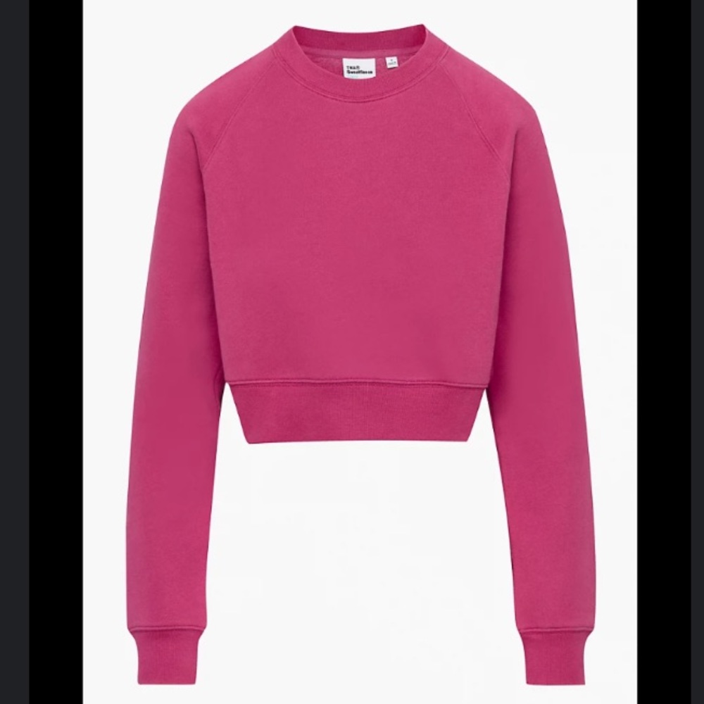 Aritzia Cozy Fleece Perfect Raglan Sweatshirt